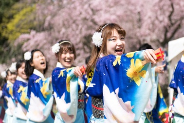 Vũ điệu mùa hè sôi động diễn ra giữa ngày xuân