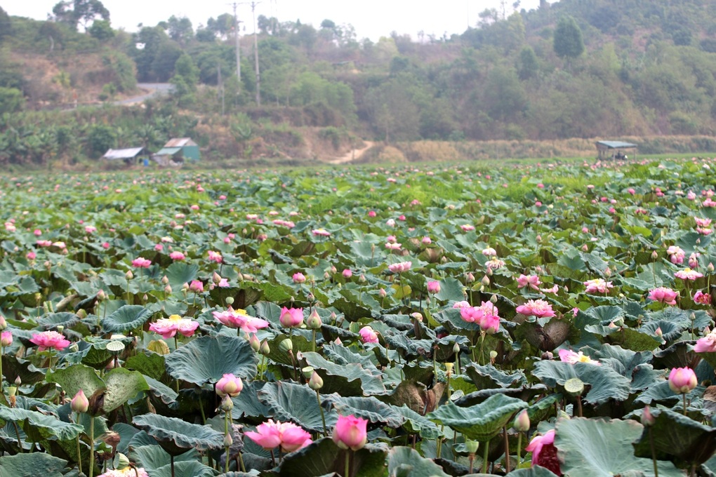 Khám phá công viên địa chất toàn cầu UNESCO Đắk Nông - 4