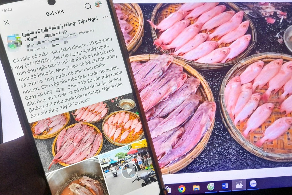 Tiểu thương nói gì về thông tin “cá có màu đỏ như phẩm nhuộm”? - 1 Tiểu thương nói gì về thông tin “cá có màu đỏ như phẩm nhuộm”? - 1