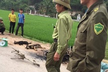 Nghi trộm chó, 2 thanh niên bị đánh thương vong