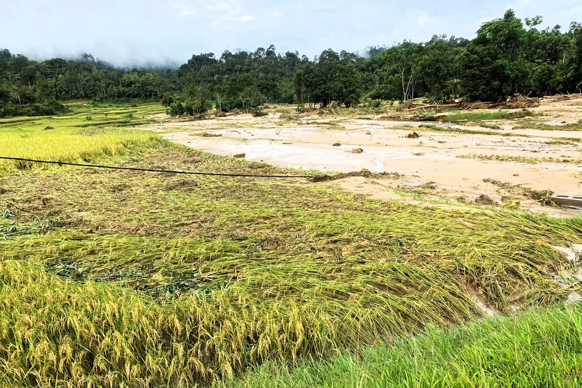 Cảnh tan hoang sau trận lũ quét kinh hoàng ở bản biên giới Nghệ An - 5