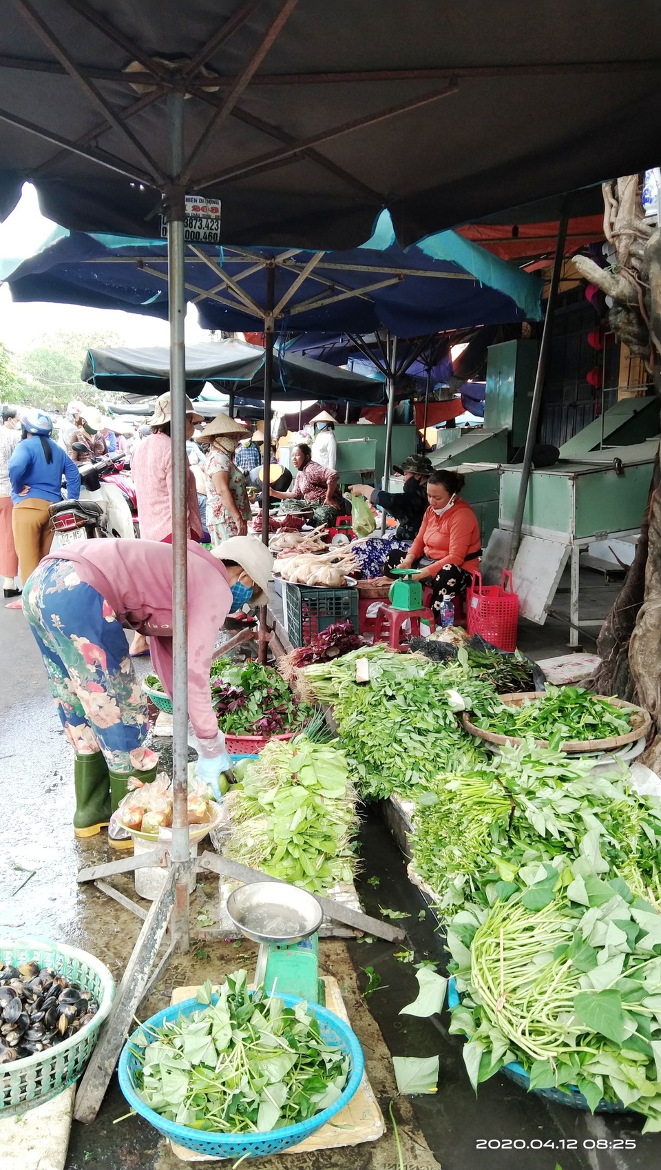 Lơi lỏng phòng chống dịch tại chợ Hội An - 4 Lơi lỏng phòng chống dịch tại chợ Hội An - 4