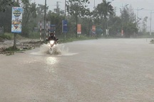 Miền Trung cấp tập chống bão Kajiki