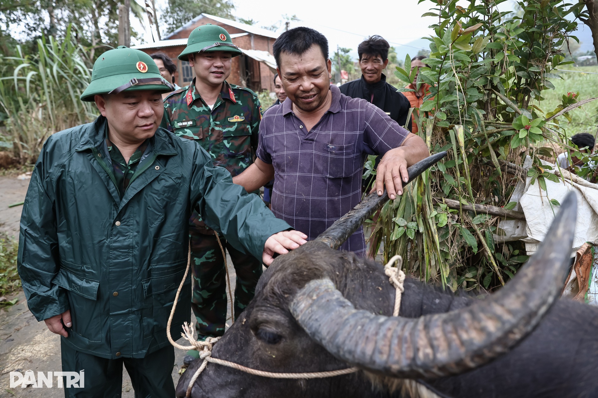 Chú trâu mắc kẹt 6 ngày trên mái nhà ở rốn lũ Hòa Thịnh được giải cứu - 10