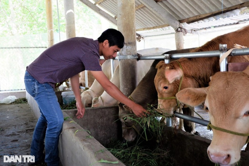 Chàng trai 9X nhẹ nhàng đút túi 300 triệu đồng/năm nhờ... nuôi trùn quế - 3 Chàng trai 9X nhẹ nhàng đút túi 300 triệu đồng/năm nhờ... nuôi trùn quế - 3