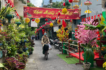 Bà con trong hẻm nhỏ góp tiền làm đường hoa đón xuân mới