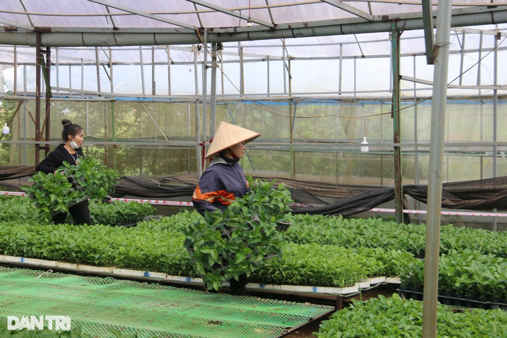 Dân tự nguyện tháo chạy khỏi đất dự án của vợ nguyên PGĐ Công an tỉnh - 3 Dân tự nguyện tháo chạy khỏi đất dự án của vợ nguyên PGĐ Công an tỉnh - 3