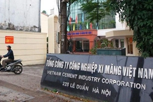 Thanh tra Chính phủ yêu cầu xử lý số tiền nghìn tỷ ở Tổng công ty Vicem