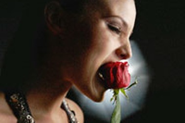 Hoạn thư đời mới 