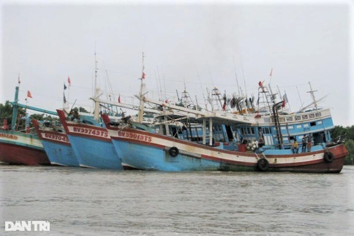 Cà Mau chuẩn bị kịch bản bão số 9 ảnh hưởng 3 huyện ven biển - 1 Cà Mau chuẩn bị kịch bản bão số 9 ảnh hưởng 3 huyện ven biển - 1