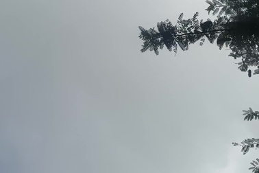 Phản ứng của khách Tây thấy trực thăng bay rợp trời, cờ đỏ khắp Việt Nam