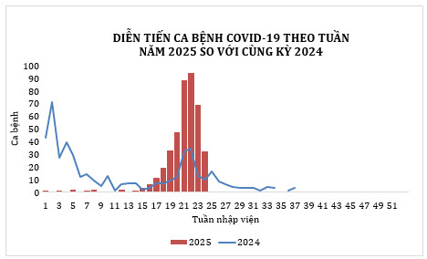Thông tin mới nhất về số ca mắc Covid-19 tại TPHCM - 1