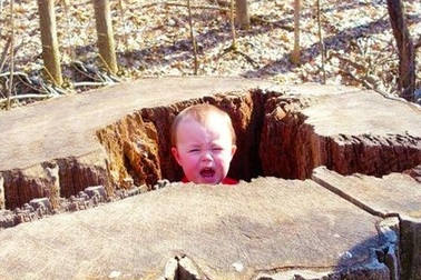 Clip vui: Những chuyên gia tự gây rắc rối