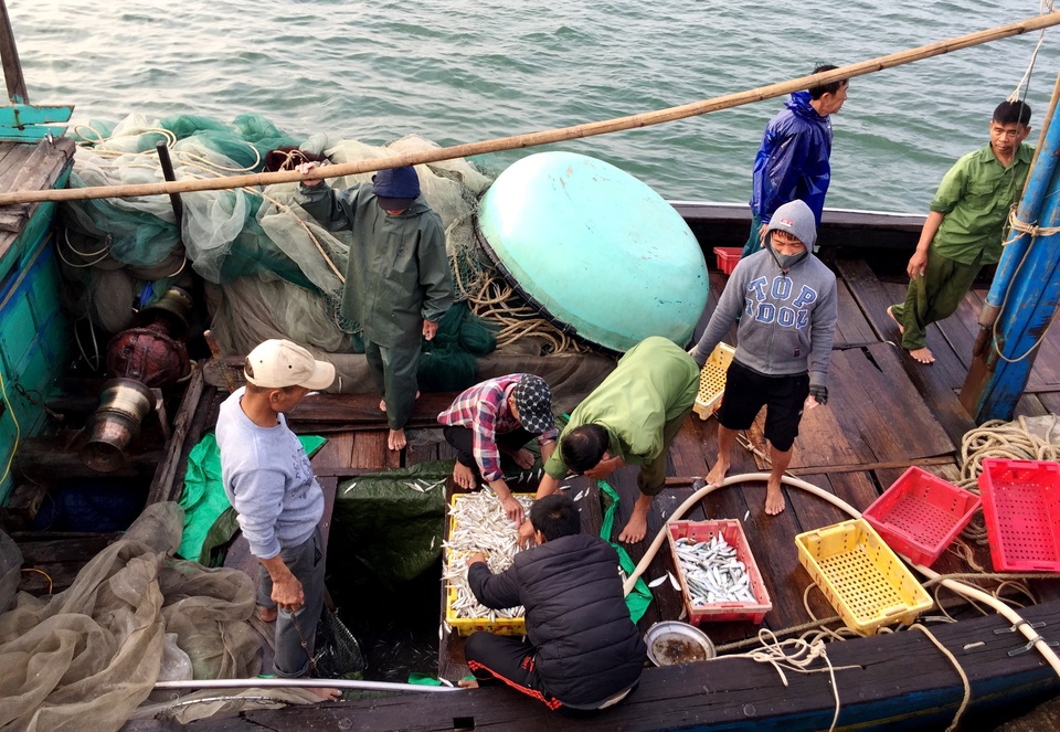 Ngư dân phấn khởi đón lộc đầu năm - 7 Ngư dân phấn khởi đón lộc đầu năm - 7