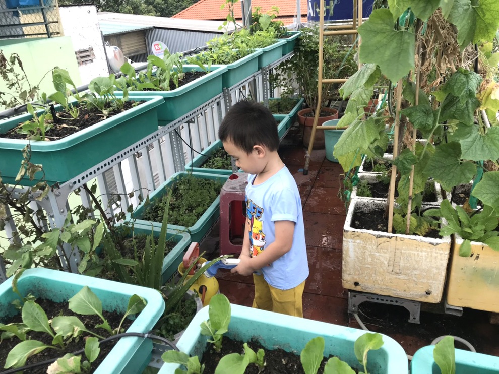 Chi 30 triệu đồng làm vườn sân thượng, gia chủ Sài Gòn thu hoạch mỏi tay - 15 Chi 30 triệu đồng làm vườn sân thượng, gia chủ Sài Gòn thu hoạch mỏi tay - 15