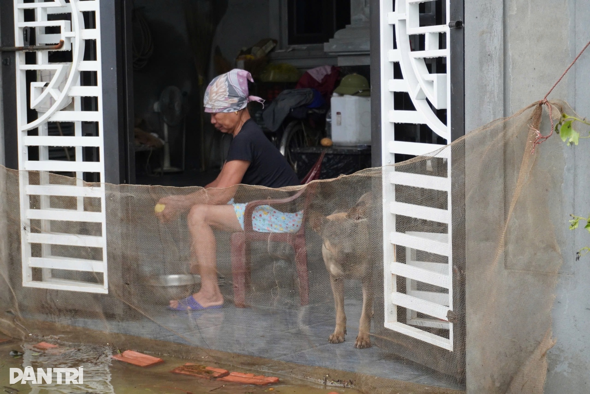 Hà Nội: Nhà chìm giữa ốc đảo, mẹ ôm con 9 tháng tuổi tháo chạy - 15 Hà Nội: Nhà chìm giữa ốc đảo, mẹ ôm con 9 tháng tuổi tháo chạy - 15