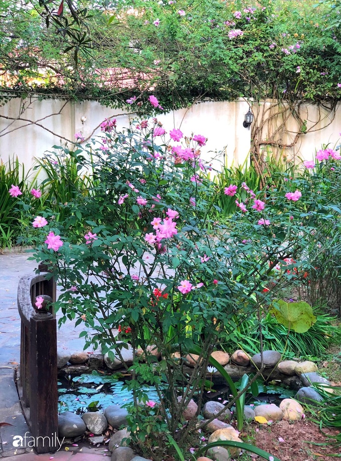 Vườn cây và hoa rực rỡ níu những bình yên ở ngoại ô Hà Nội giúp gia đình trẻ tránh xa ồn ào của phố thị - Ảnh 13. Vườn cây và hoa rực rỡ níu những bình yên ở ngoại ô Hà Nội giúp gia đình trẻ tránh xa ồn ào của phố thị - Ảnh 13.