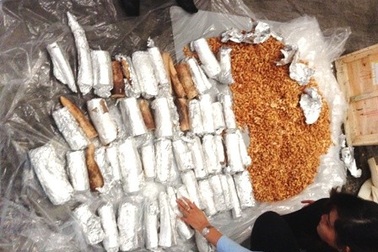59 ngà voi nhập lậu từ châu Phi được giấu trong thùng hạt điều