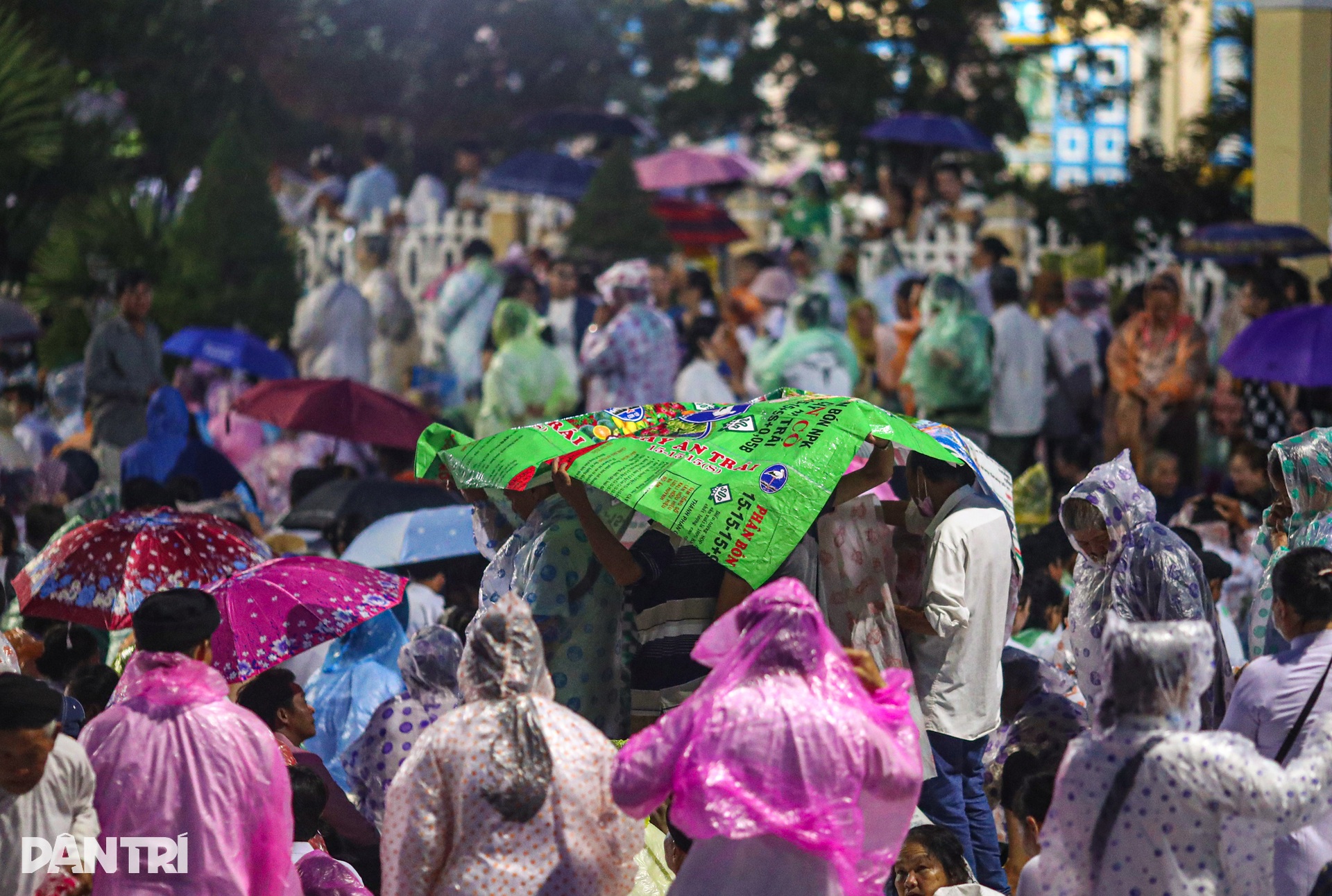 Biển người đội mưa, chen chân xem rồng phun lửa ở Tòa thánh Tây Ninh - 6 Biển người đội mưa, chen chân xem rồng phun lửa ở Tòa thánh Tây Ninh - 6
