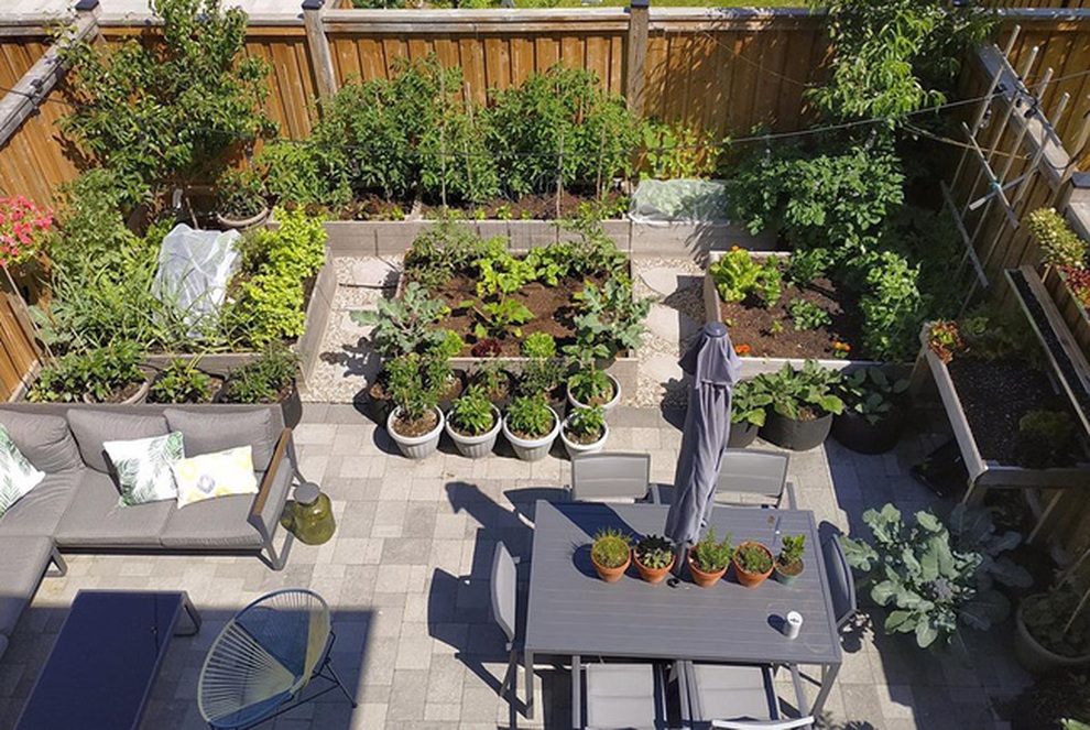 Stress vì công việc, chàng trai lột xác sân thành vườn rau sạch - 1