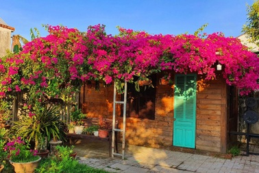 Nhà vườn đẹp như tranh, vui cảnh điền viên của vợ chồng người Quảng Ngãi