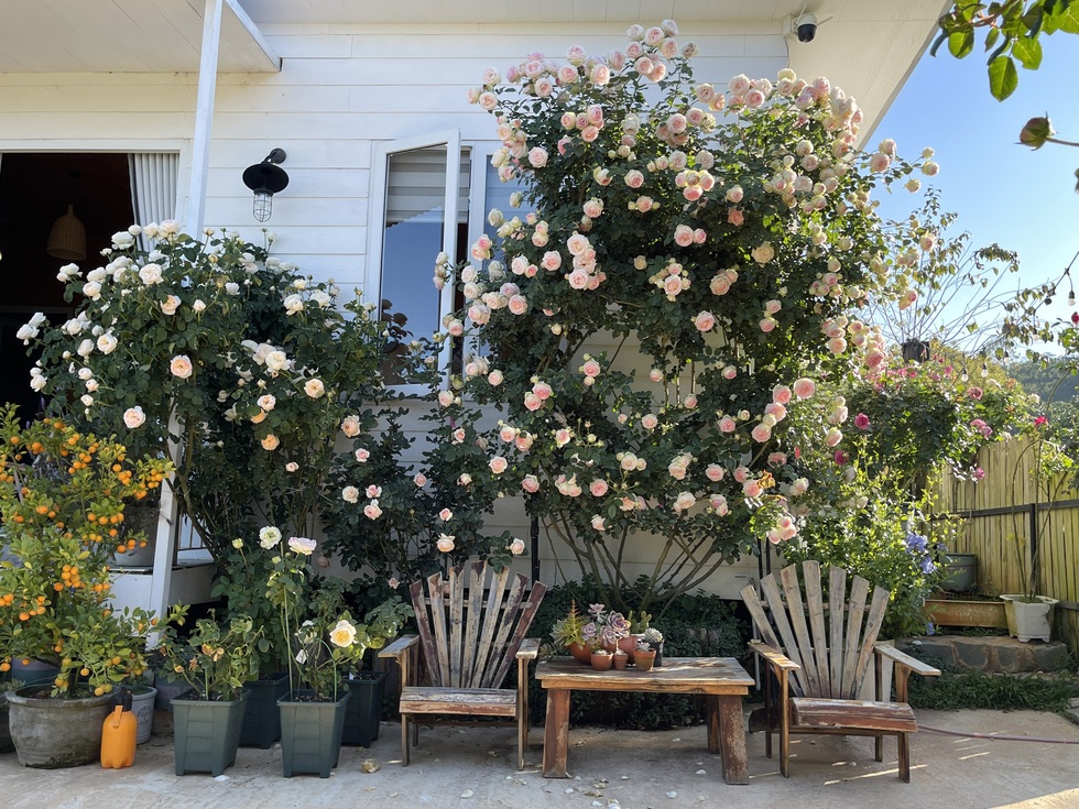 Mua 2.000m2 đất ở Đà Lạt, chàng trai dựng ngôi nhà "đi đâu cũng chạm hoa"