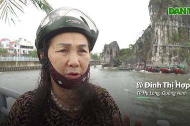 Người dân Quảng Ninh bàng hoàng vì thiệt hại sau bão quá lớn