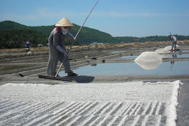 Muối Quảng Ngãi “sốt” vì... phóng xạ