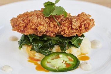 Bill Gates và Richard Branson tài trợ cho nghiên cứu sản xuất thịt trong phòng thí nghiệm