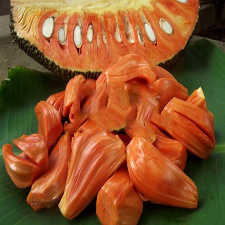 Bóc trần trò lừa đảo: Xịt sơn lên mít, bơm sữa vào dừa - 2 Bóc trần trò lừa đảo: Xịt sơn lên mít, bơm sữa vào dừa - 2