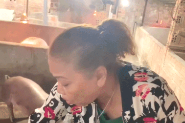 Siu Black "bỏ phố về rừng": 4h sáng dậy cho heo ăn, chồng kiếm củi nấu cám