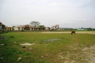 Phê bình Chủ tịch huyện vì để xảy ra sai phạm đất đai