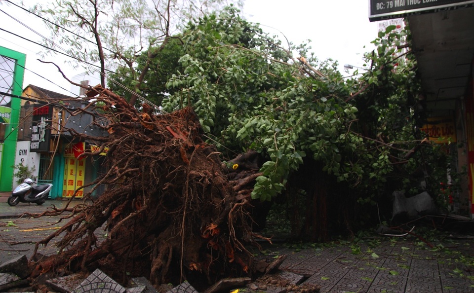 Tàu chìm, nhà sập, trường học tốc mái, cây xanh ngã đổ trong bão số 13 - 17 Tàu chìm, nhà sập, trường học tốc mái, cây xanh ngã đổ trong bão số 13 - 17