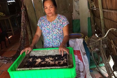 Dân đổ xô nuôi sâu lạ ăn tạp