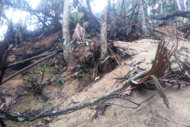 "Xới tung" rừng để tìm đá quý