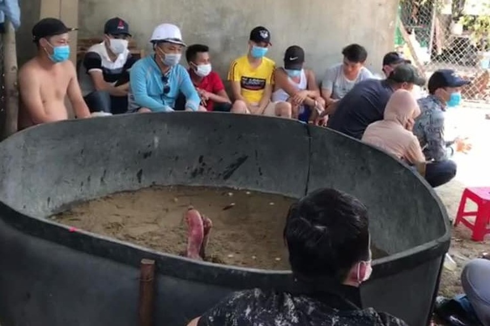 Tụ tập xem đá gà, 15 người bị phạt 225 triệu đồng - 1 Tụ tập xem đá gà, 15 người bị phạt 225 triệu đồng - 1
