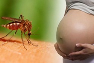 Đồng Nai: Bệnh nhân Zika đầu tiên là thai phụ
