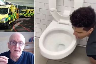 Dại dột như thách đố “liếm bồn cầu” mùa dịch corona