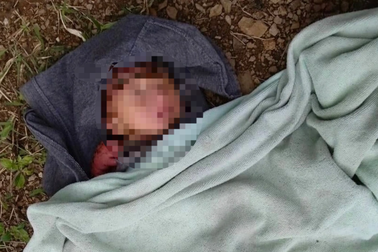 Bé gái sơ sinh bị bỏ rơi ở bìa rừng, kiến cắn khắp người