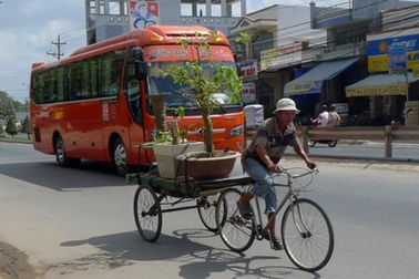 “Hốt bạc” nhờ dịch vụ vận chuyển hoa, kiểng Tết