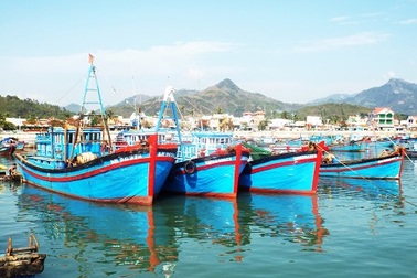 Ra mắt Nghiệp đoàn nghề cá chuyên đánh bắt ở Hoàng Sa, Trường Sa