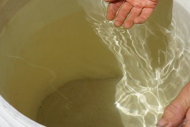 Thành lập đoàn kiểm tra nguồn nước nhiễm mặn