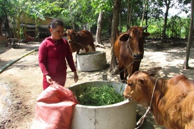 Mở lối thoát nghèo bền vững nhờ nguồn vốn chính sách