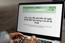 Trang đấu giá biển số ô tô "tê liệt", nhiều người không thể truy cập