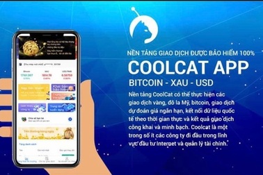 "Thời nay vì tham tiền mà cột mỡ cũng lắm người leo"