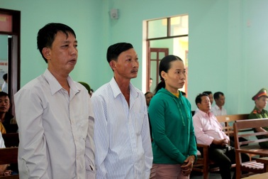 Xét xử vụ phá rừng phòng hộ quy mô lớn ở xã Tiên Lãnh