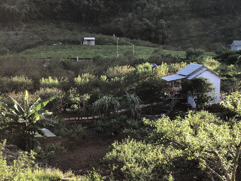 Mắc kẹt ở Mộc Châu do Hà Nội giãn cách, gia đình làm vườn đẹp mê - 3 Mắc kẹt ở Mộc Châu do Hà Nội giãn cách, gia đình làm vườn đẹp mê - 3