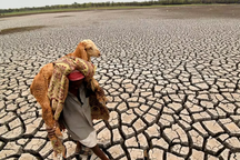 Nắng nóng thiêu đốt tại châu Á khiến nhiên liệu Nga đắt hàng