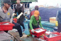 Khi thuyền trưởng đi học nghề… thuyền trưởng