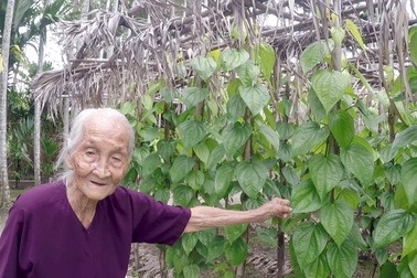 Cụ bà 106 tuổi ở Sài Gòn, mỗi ngày vẫn đi nhổ cỏ, lùa bò...